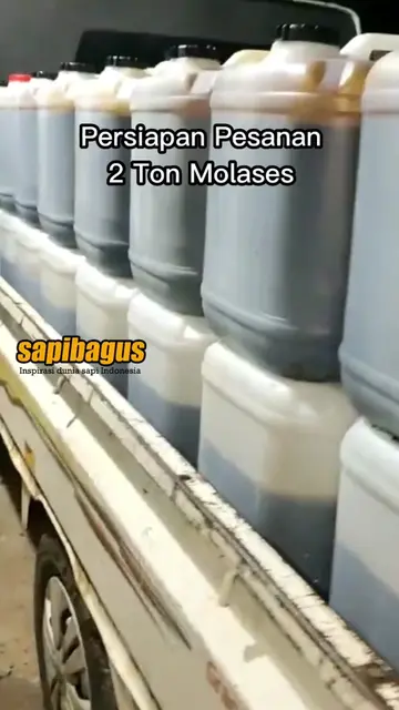 Persiapan-Pesanan-2-Ton-Molases